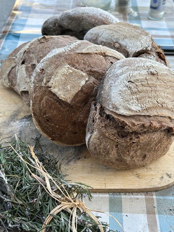 Ehrenamtsb&ouml;rse 4